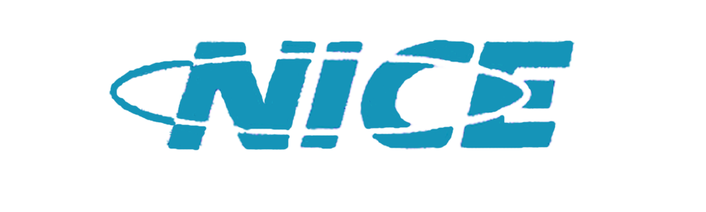 theNiceLimited logo